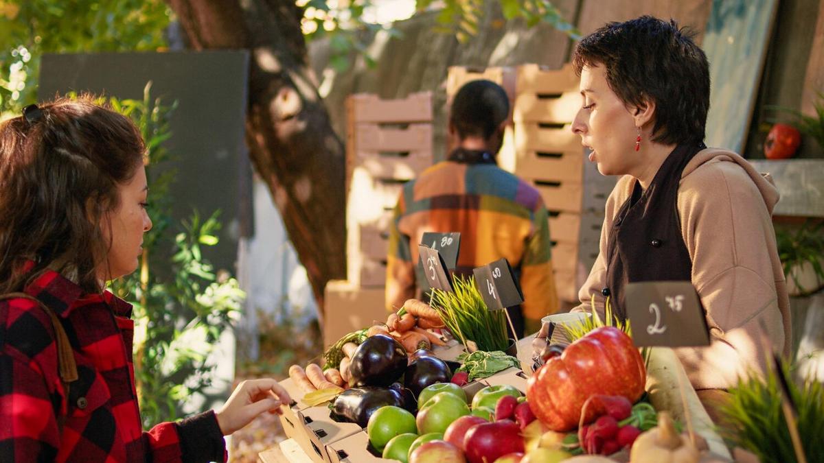The Rise of Farm-to-Table Restaurants and Their Impact